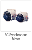 AC Synchronous Motor